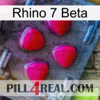 Rhino 7 Beta 13